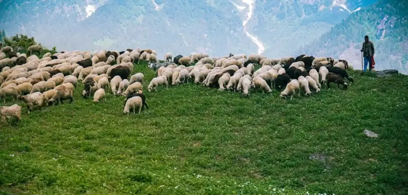 Hakkımızda